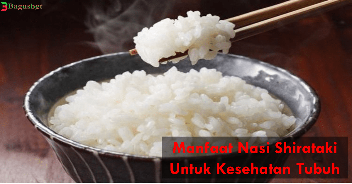 Manfaat Nasi Shirataki Untuk Kesehatan Tubuh