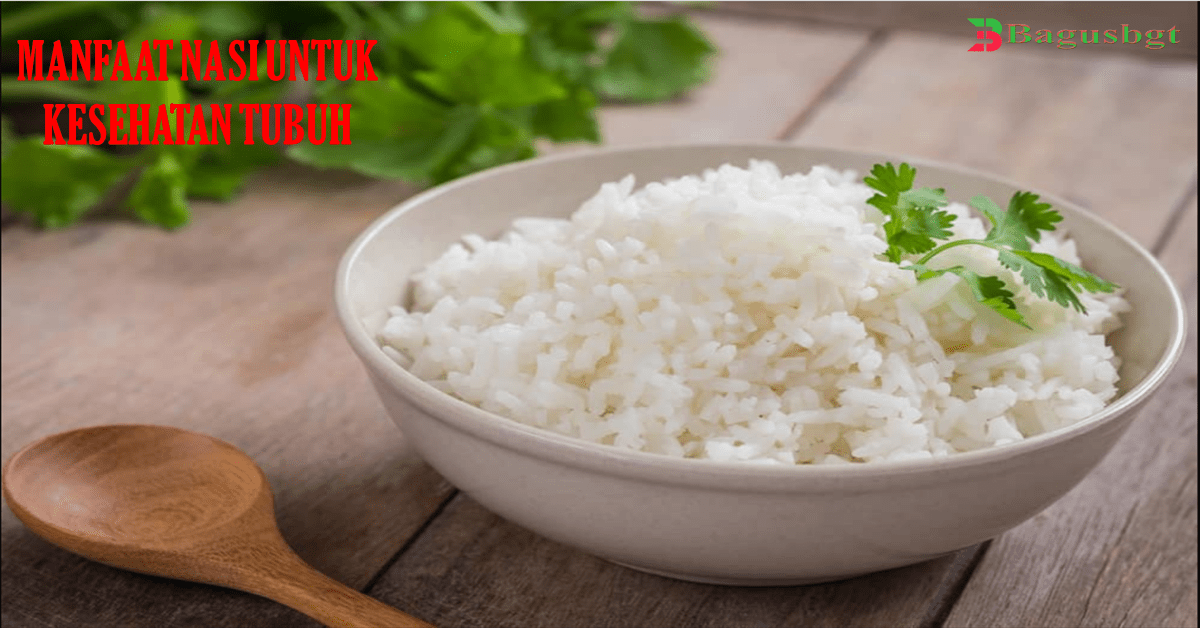 Manfaat Nasi Untuk Kesehatan Tubuh