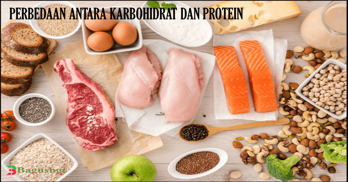 Perbedaan antara Karbohidrat dan Protein