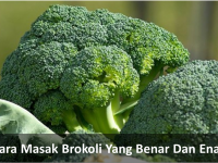 Cara Masak Brokoli Yang Benar Dan Enak