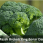 Cara Masak Brokoli Yang Benar Dan Enak