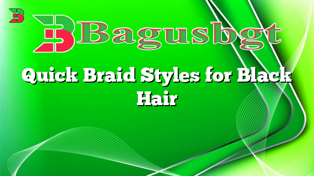 Quick Braid Styles for Black Hair