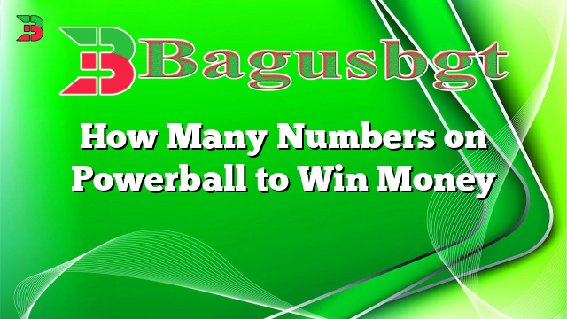 How Many Numbers on Powerball to Win Money