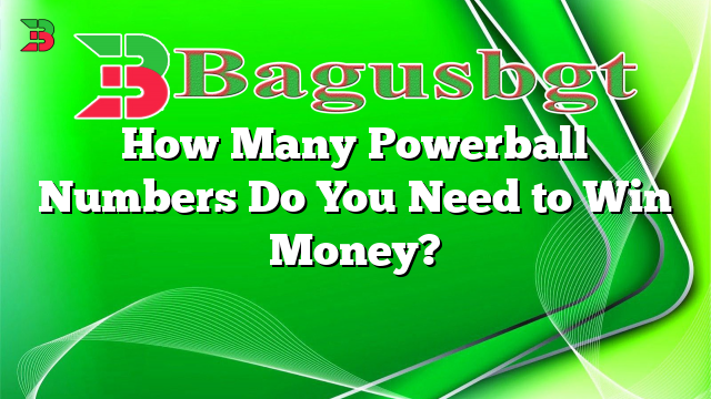 How Many Powerball Numbers Do You Need to Win Money?