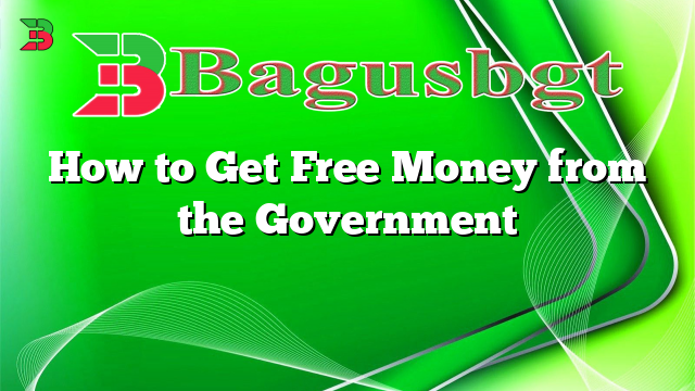 How to Get Free Money from the Government