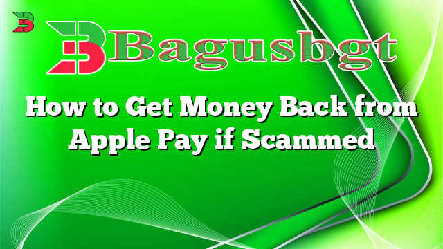 How to Get Money Back from Apple Pay if Scammed