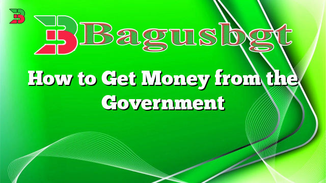 How to Get Money from the Government