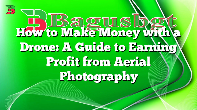 How to Make Money with a Drone: A Guide to Earning Profit from Aerial Photography