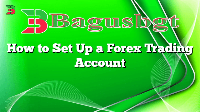 How to Set Up a Forex Trading Account